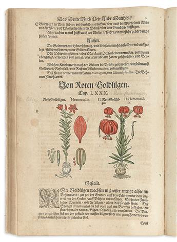 (BOTANICAL--HERBAL.) Mattioli, Pietro Andrea. Kreutterbuch Detz Hochgelehrten unnd weitberühmten herrn. . .